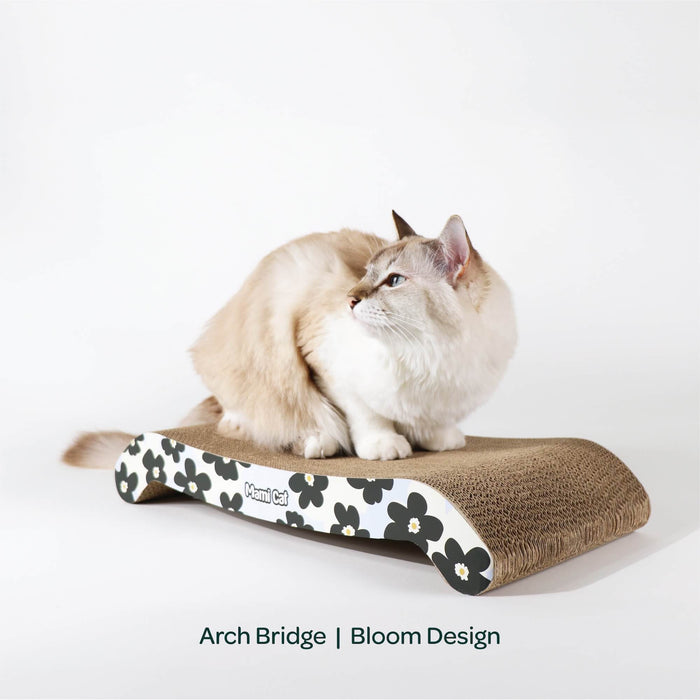 A Cream Cat sitting on top of Arch Bridge Cat Scratching Board Bloom Design.