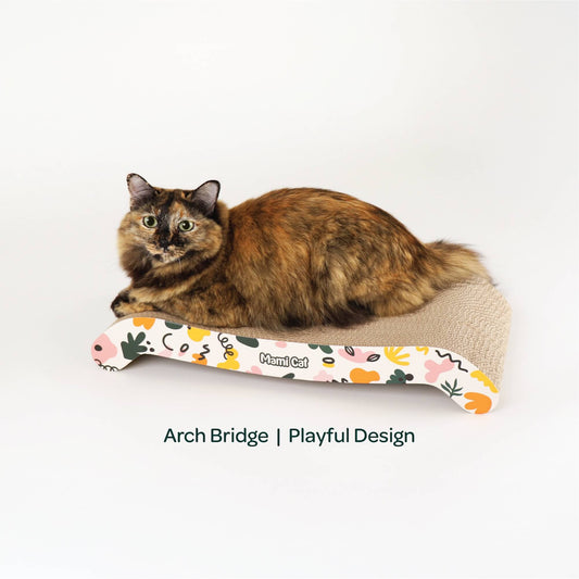 A Tortoiseshell Cat sitting on top of Arch Bridge Cat Scratching Board Playful Design.