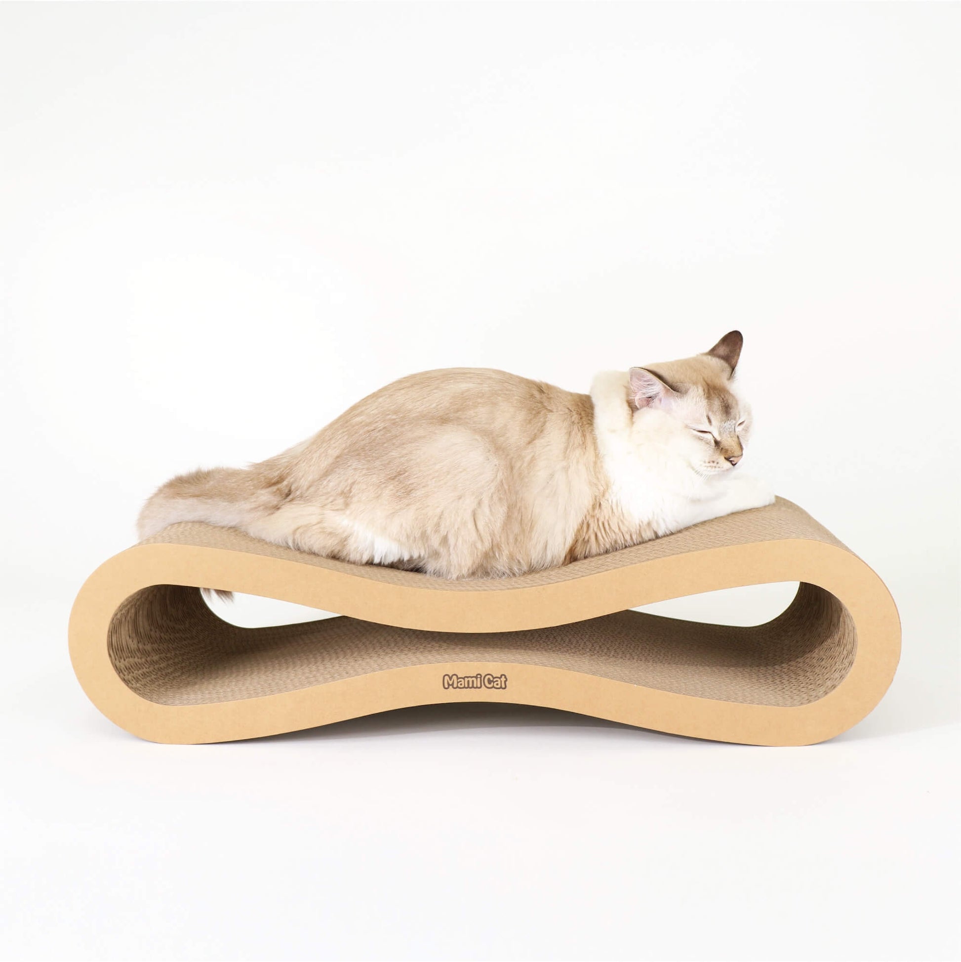 A Cream Cat nesting on top of an Infinity Cat Scratching Board.