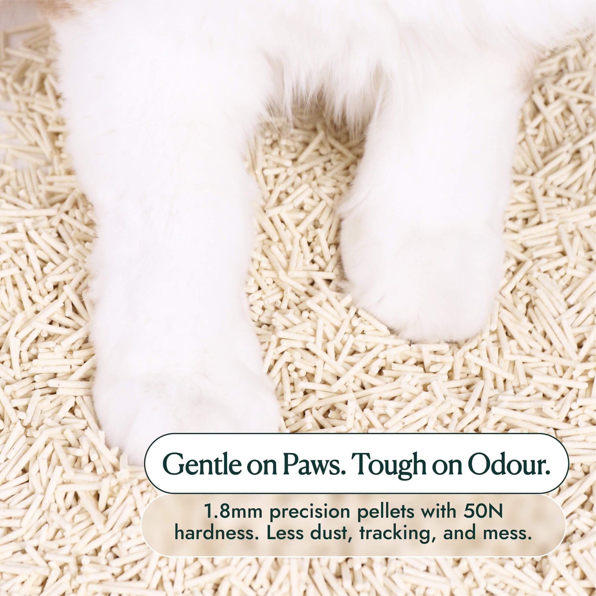 A Cat resting its paw on Mami Cat Tofu Litter showing less dust and little tracking.
