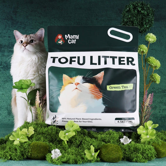 Mami Cat Tofu Litter Green Tea scent atop a bed of foliage and a cute cream cat beside.