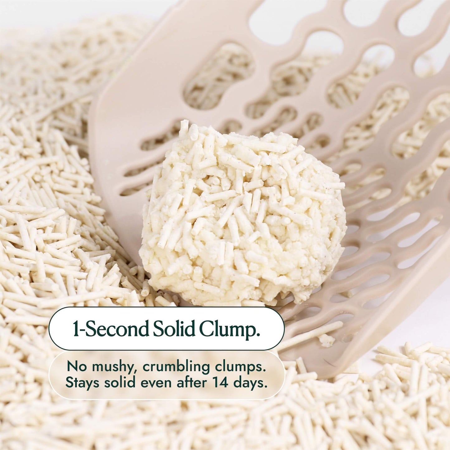 Mami Cat Tofu Litter showing a Solid Clump instead of Mushy Clumps