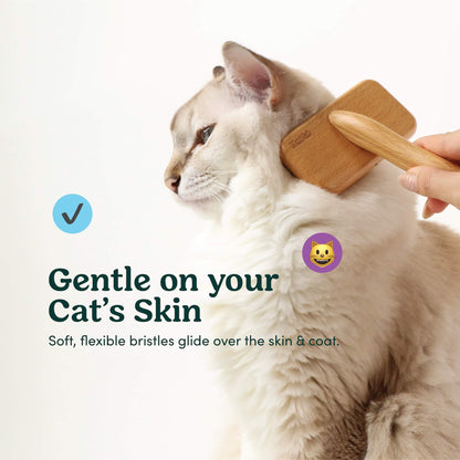 A furry Cream Cat being combed by Mami Cat Wooden Slider Fur Brush.