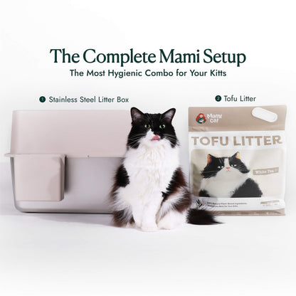 Pairing Stainless Steel Cat litter Box and Tofu Litter for the Ultimate Cat Litter Setup
