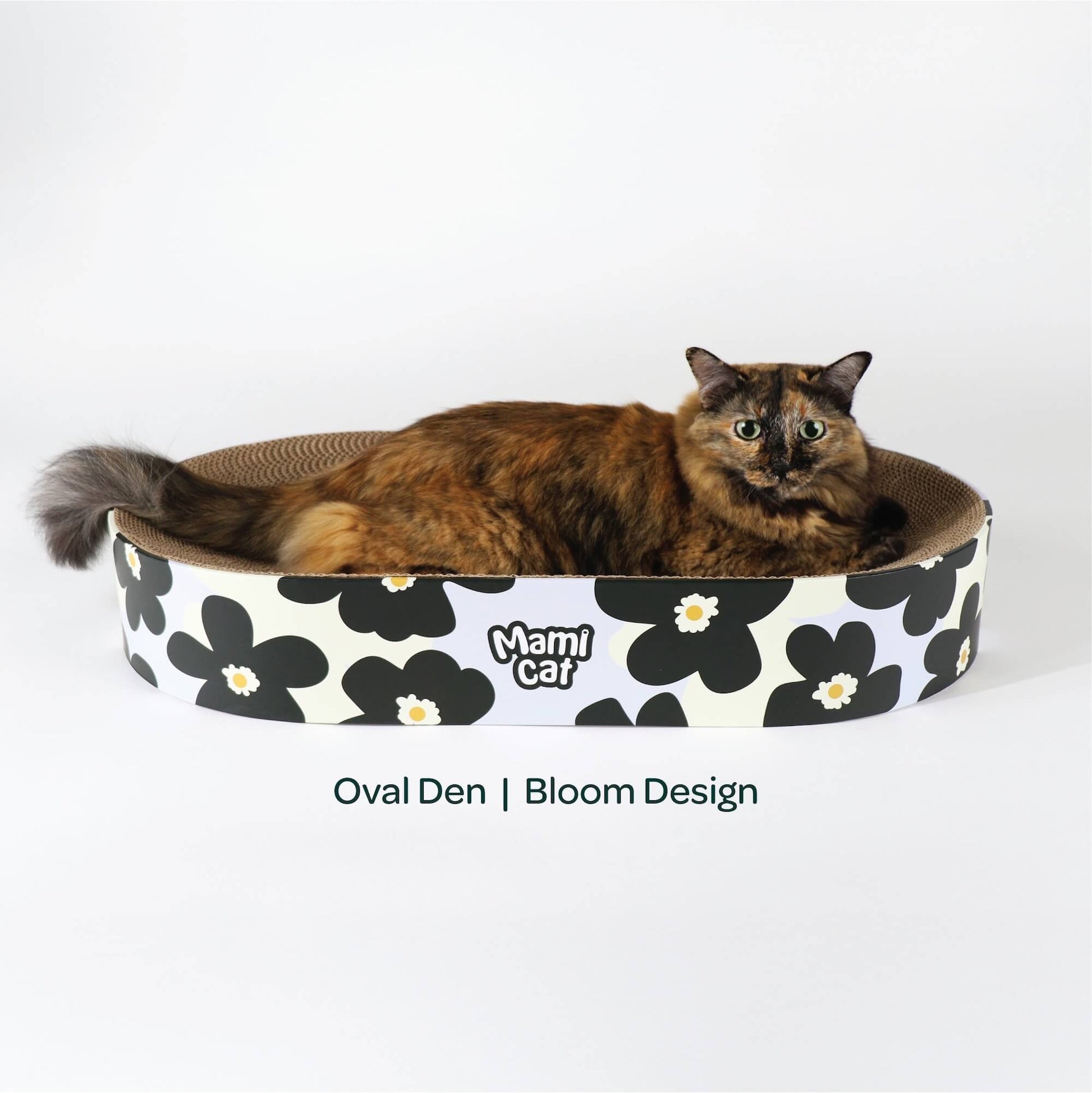 A Tortoiseshell Cat lounging on the Oval Den Cat Scratcher Board Bloom Design.