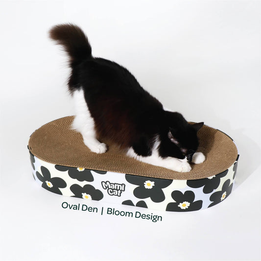 A Tuxedo Cat Scratching the Oval Den Cat Scratcher Board Bloom Design.