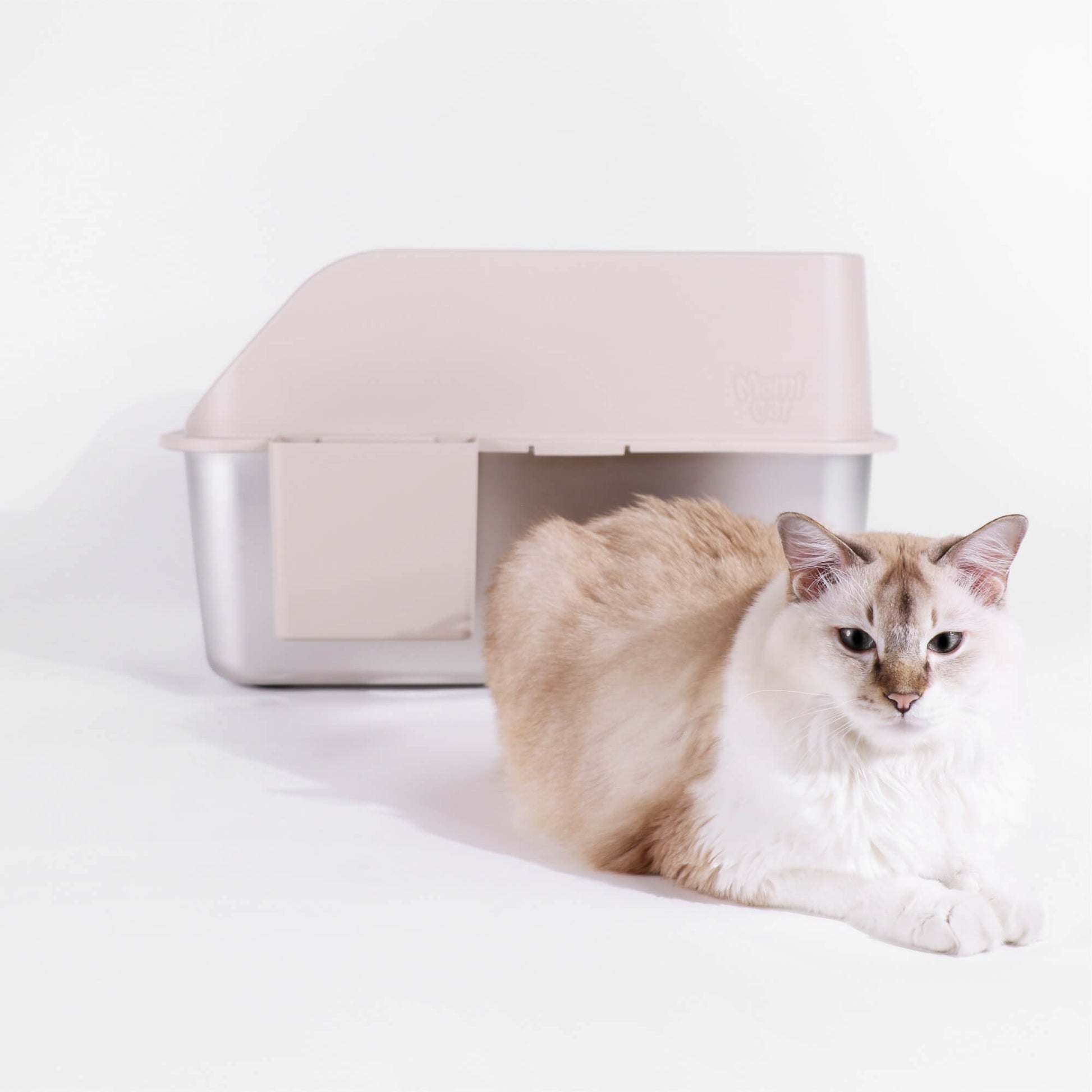 Mew Mew Cat sitting right next to a Dune Khaki Litter Box for size comparison. Litter Box is big and spacious.