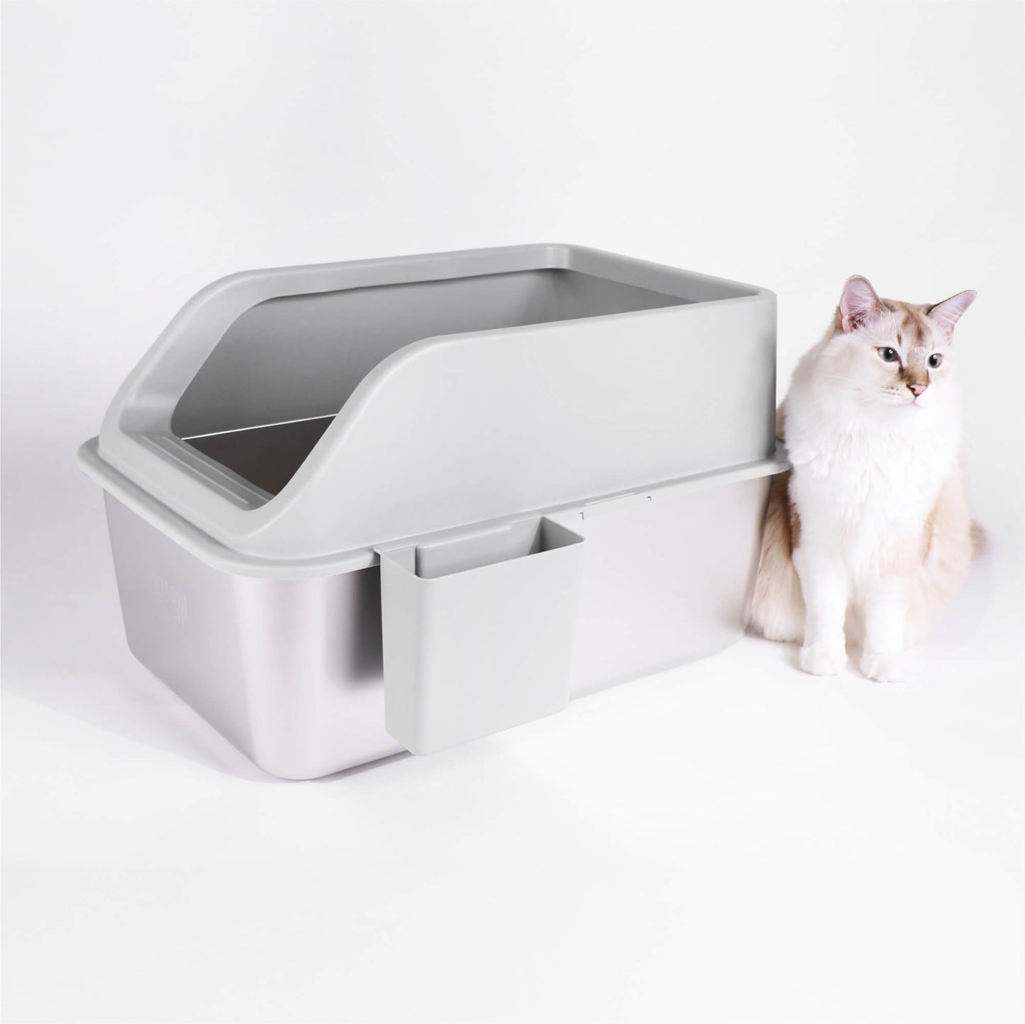A big size cat sitting beside XL Stainless Steel Litter Box. Size shows that it's big enough for multiple cat homes.