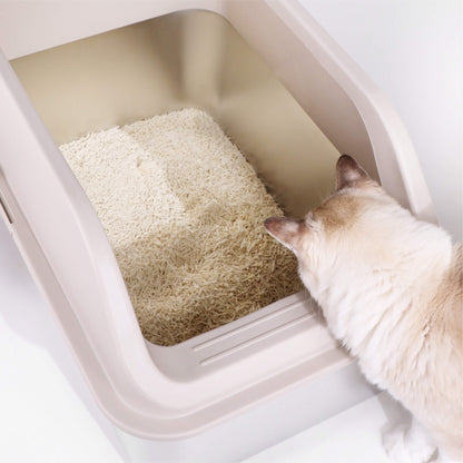 Top View of Cat Looking into the XL Stainless Steel Litter Box filled with Tofu Cat Litter