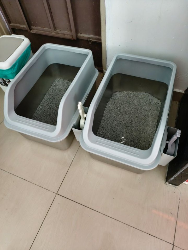 Pair of Mami Cat stainless steel litter boxes in a customer home